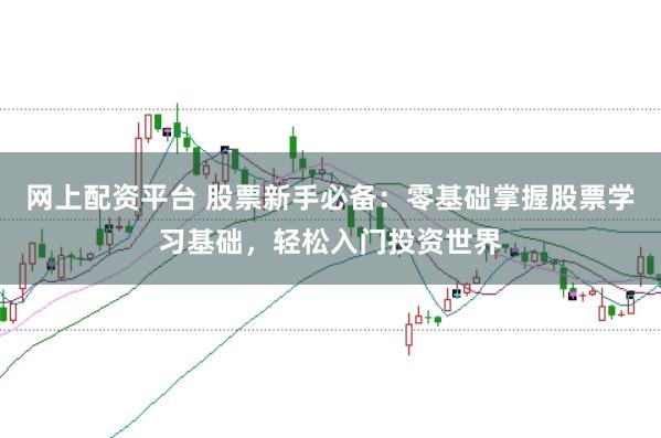 網上配資平臺 股票新手必備：零基礎掌握股票學習基礎，輕松入門投資世界