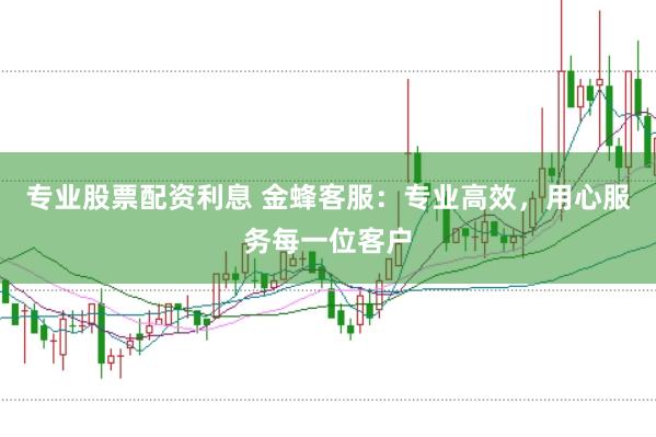 專業股票配資利息 金蜂客服：專業高效，用心服務每一位客戶