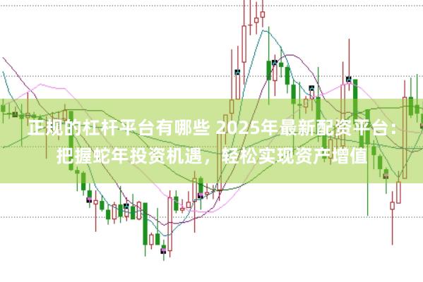 正規(guī)的杠桿平臺有哪些 2025年最新配資平臺:把握蛇年投資機遇,輕松實現(xiàn)資產(chǎn)增值