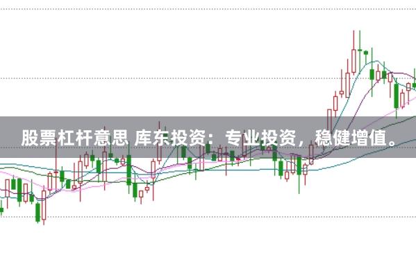 股票杠桿意思 庫東投資：專業(yè)投資，穩(wěn)健增值。