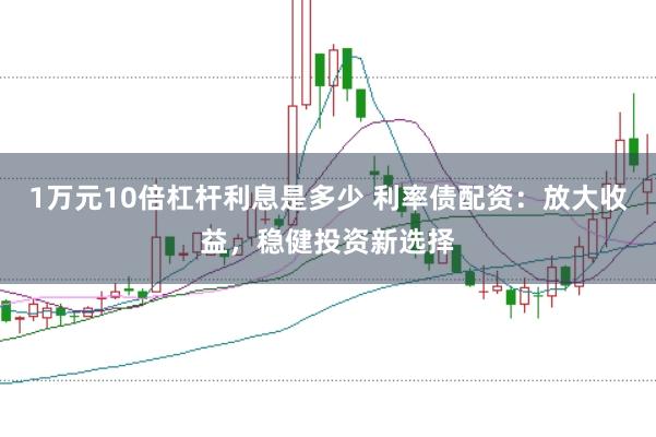 1萬元10倍杠桿利息是多少 利率債配資：放大收益，穩(wěn)健投資新選擇